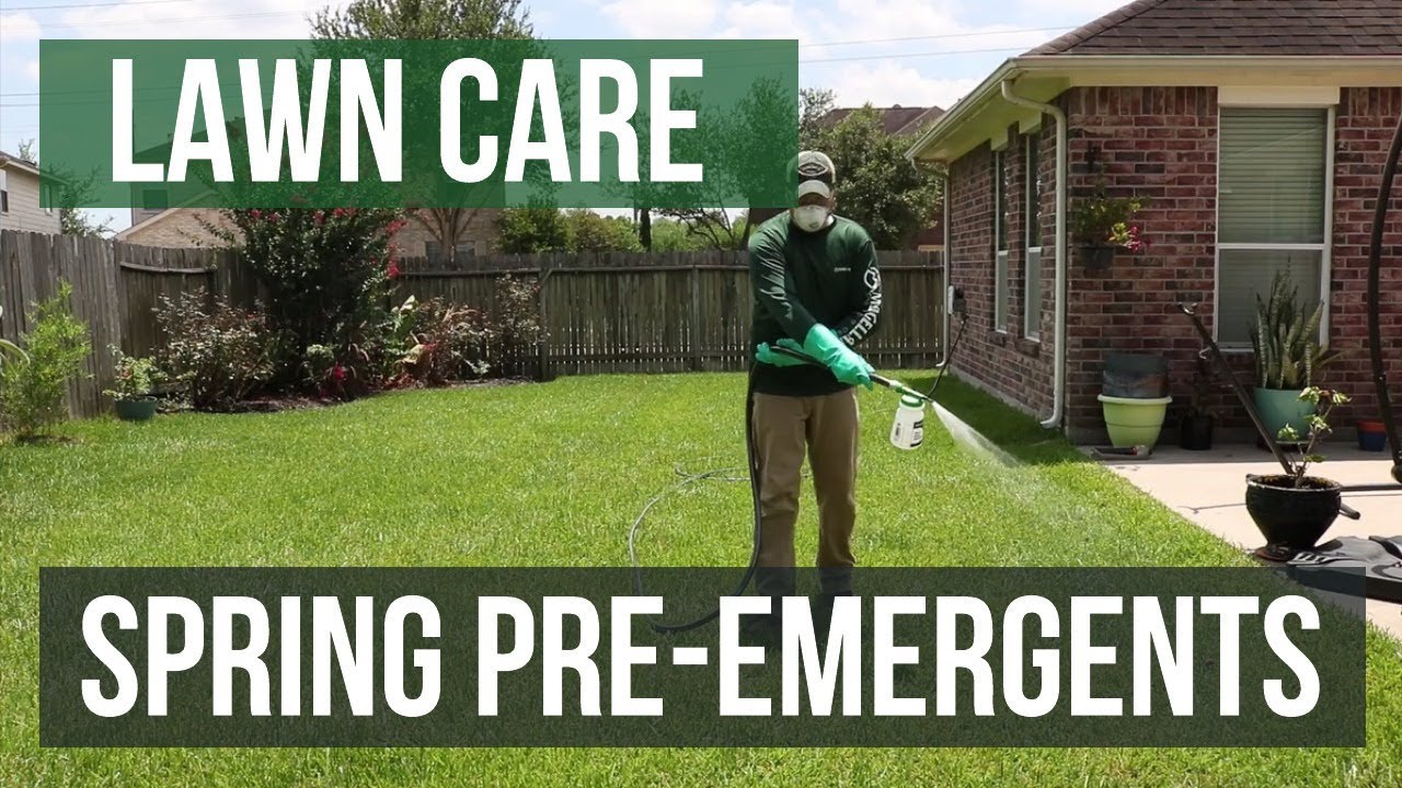 Spring Pre-Emergents: A Lawn Care Guide - YouTube