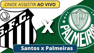 Santos x Palmeiras hoje - Brasileirão 2023 - Data, horário e onde assistir ao vivo 20/05/2023
