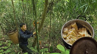 Take bamboo shoots stuffed with meat. build life. mountain life (EP.56)