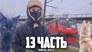 НАШЛИ ДОСЬЕ на МОСТУ! ПОМОЖЕТ ли это НАЙТИ МИХАИЛА!?   - 13 часть