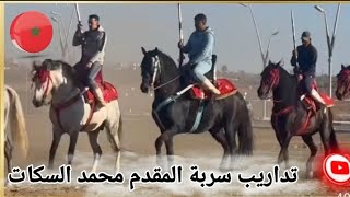 تداريب سربة المقدم محمدالسكات بمدينة تيفلت إستعدادا لدخول غمار المباراة الجهوية للتبوريدة 🐎❤️✨