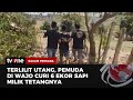 Seorang Pemuda Nekat Curi 6 Sapi Milik Tetangga Akibat Terlilit Utang | Ragam Perkara tvOne