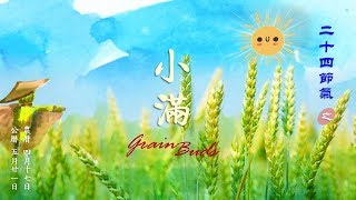 小满節氣 -  小滿溫和夏意濃  麥仁滿粒量還輕