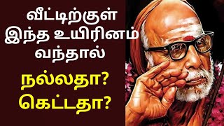 வீட்டிற்குள் இந்த உயிரினம் வந்தால் @mahanvakku