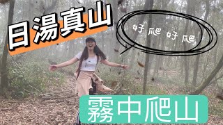 空姐轉圈圈 ｜日湯真山 超簡單 霧裡爬山石瀑看!?