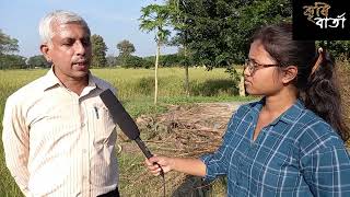 সুগন্ধি ধানের বীজ কিভাবে পাবেন বিধানচন্দ্র কৃষি বিশ্ববিদ্যালয় থেকে, জেনে নিন।