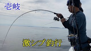 潮なしベタ凪激シブ釣行