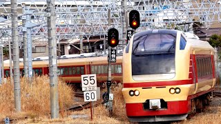 開運成田山初詣栃木号　E653系　成田駅　2024.1.6,7