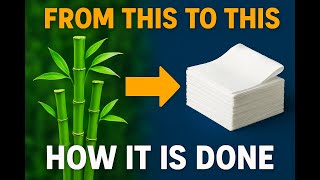 How bamboo becomes tissue paper