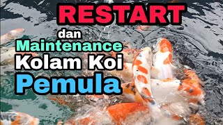 RESTART dan MAINTENANCE Kolam Koi !!! Pemula !!!