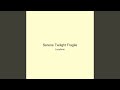 Serene Twilight Fragile