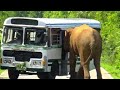 An attack by a ferocious elephant on those traveling on the road 😰