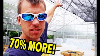 NEW GREENHOUSE Kicking It Root Down 70% MORE GROW SPACE!!!!