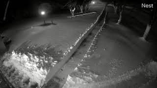 The Driveway - Snowblowing after an overnight snowfall!