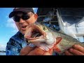 Catch the Big Ones! Fishing Challenge Epic Catch n Cook