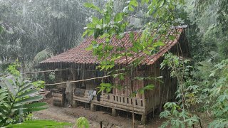 MERINDING... Tiba-Tiba Turun Hujan Lebat Saat Berkunjung Ke Rumah Di Tengah Hutan Tanpa Listrik.