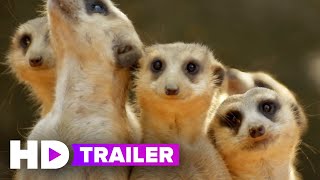 MAGIC OF DISNEY'S ANIMAL KINGDOM Trailer (2020) Disney+