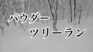 パウダーツリーラン