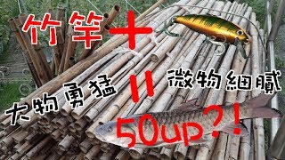 波爸釣魚趣-路亞竹竿博得了大魚？ (Taiwan/Lure/溪釣/軍魚/捲仔/何氏棘魞) (201809)