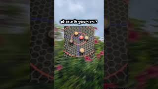 এটার মানে কি কমেন্টে বলে যান🤔।।Yeamin  Khan