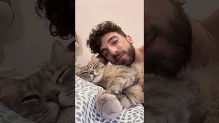 Cats imitating people😹😹 #funny #cat #funnycat #foryou #funnyvideo