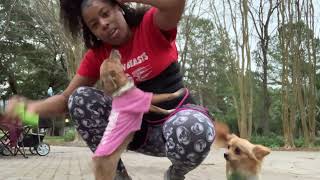 Watch me workout (200 jump rope \u0026 200 jumping jacks)