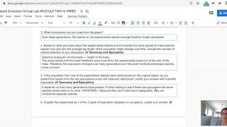 Lizard Module 2 & 3 Key