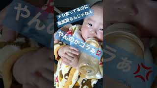 【ヤンキーあかちゃん】くわえタバコならぬくわえミルク #動画撮ってたらケンカになりました