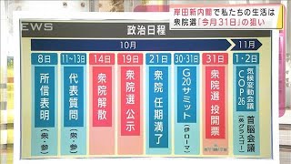 衆院選　今月31日の狙い　岸田内閣で私たちの生活は(2021年10月4日)