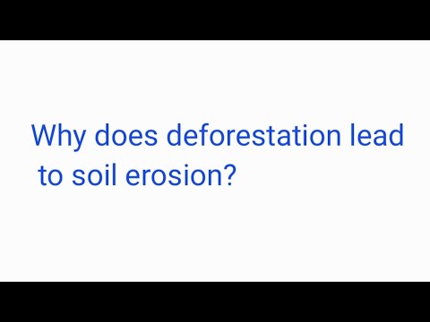 How does deforestation cause soil erosion?