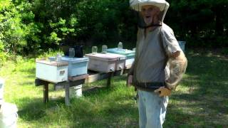 Warren's Special Bee Suit and A Collapsed Hive