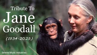 Jane Goodall Memorial Song 🌿 | Heartfelt Tribute Song to a Legend
