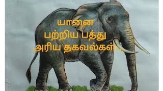 யானை பற்றிய 10 அரிய தகவல்கள்