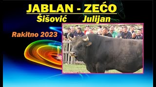 JABLAN Šišović ZEĆO Julijan glavna u Rakitnu 2023