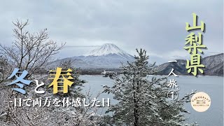 山梨県キャンプ旅行①【身延山久遠寺の桜でお花見】