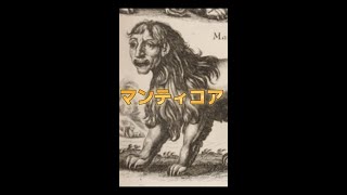 【超危険な魔法生物】ファンタスティックビーストとダンブルドアの秘密に登場したあの生物！（ハリポタ ハリーポッターと呪いの子 USJ ホグズミード ユニバ ホグワーツレガシー）