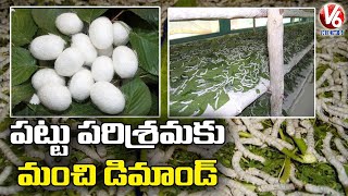 పట్టు పరిశ్రమకు మంచి డిమాండ్ | Huge Demand For Sericulture after Lockdown | V6 News