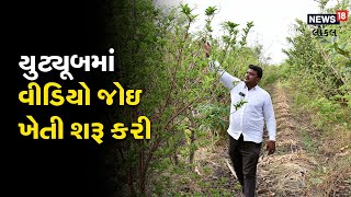 Agriculture News | વર્મી કમ્પોસ્ટ ખેતીથી ઇડરનો આ ખેડૂત કમાય છે આટલા રૂપિયા | #local18