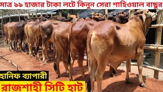 ১০০% অরিজিনাল খামারী শাহিওয়াল গরুর দরদাম ।। ২১/০৭/২০২২।rajshahi city  hat update।। 21/07/2022