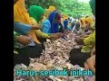 menghayati hidup ini