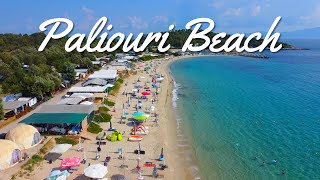 Paliouri Beach, Halkidiki 2023 | Παλιούρι