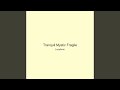 Tranquil Mystic Fragile