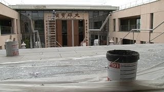 Le plus grand temple bouddhiste d'Europe inauguré en Seine-et-Marne le 24 juin