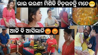 ଆଜି ବହୁତ କାମ🤗ମାହୀ କୁ ଯାହା କହିଲେ କହୁଛି ତୋ ବର୍ଷା କୁ ଡାକେ🙄ଆଜି ବି ଆସିଲାନି😡Puchkin କାନ୍ଦୁଚି ଦିଦି କାଖେଇବ😂