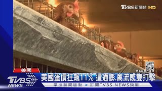 自己養母雞! 美蛋價狂飆1顆快30元 受通膨.禽流感雙打擊｜TVBS新聞@TVBSNEWS01