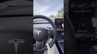 Tesla: Life After Free FSD - Auto Steer Autopilot - May 11, 2024