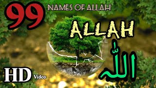Asma-ul-husna | 99 Names of ALLAH ALMIGHTY | #99NamesofAllah