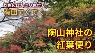 初ジンバル撮影！陶山神社の紅葉便り[有田てくてく]