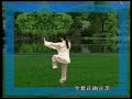 hao style tai chi 46 form full demo front view