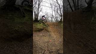 Trials bike riding! Poles wood! Wayne! 19/1/25 section1 clean! #trials #dirtbike #offroadbike #s3